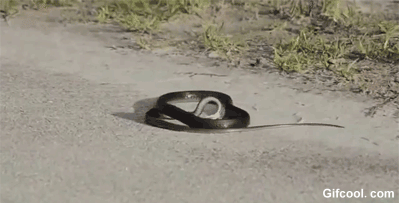 也是种缘分,但是我弯下身子去偷看你内裤的时候你却偷吃了我两根薯条