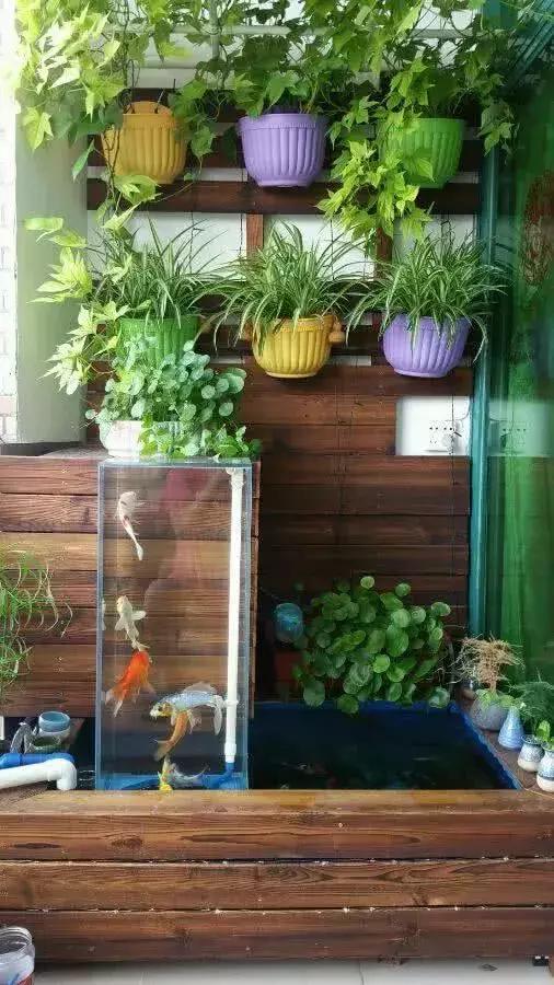 阳台diy简易鱼池,养锦鲤妥妥的!详细图文解析!