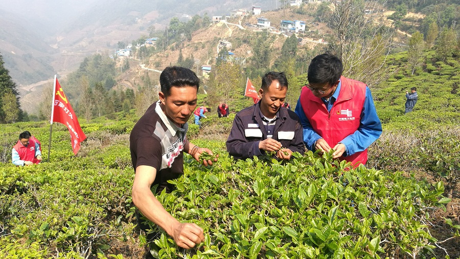 南方电网云南红河供电局"牛巩扶贫模式"让贫困户走上致富路