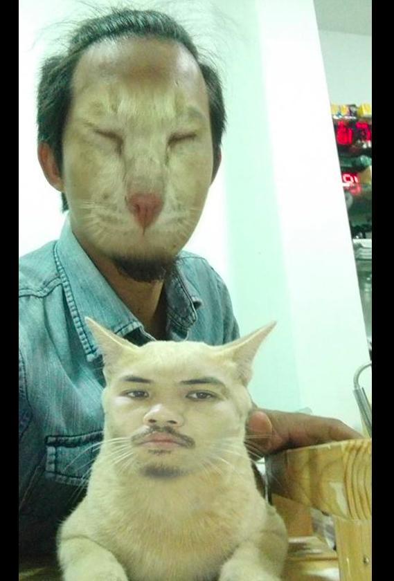 主人和猫咪玩换脸的游戏,当看到猫咪的模样时,真的被吓到了!