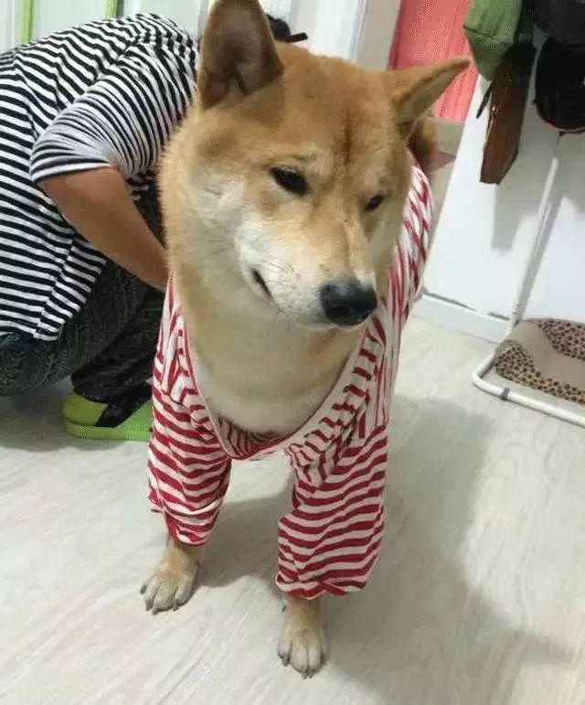 和我情侣装多好啊这红条纹你不喜欢吗怎么这生无可恋的表情咋的了我的