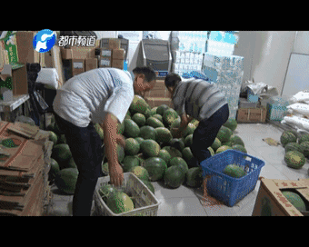 瓜车被扣,瓜农被拘,可接下来交警的做法却让瓜农泪流