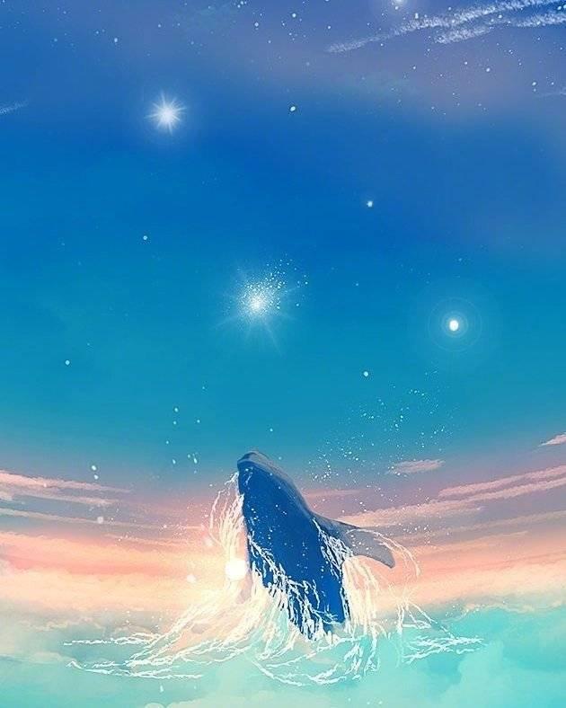 【鲸鱼插画壁纸】唯美动漫壁纸