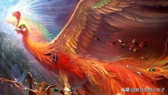 有一种鸟叫重明鸟,传说中吃龙的上古神兽