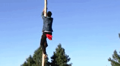 "红彝"人家的婚礼,拉猪,爬杆,喝酒,摸锅灰