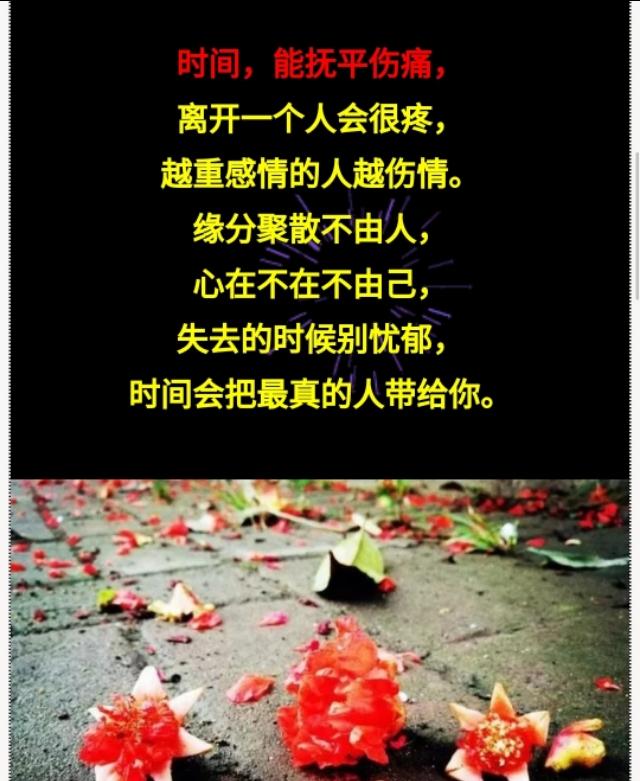 死心踏地去爱你!送给那些痴心人!