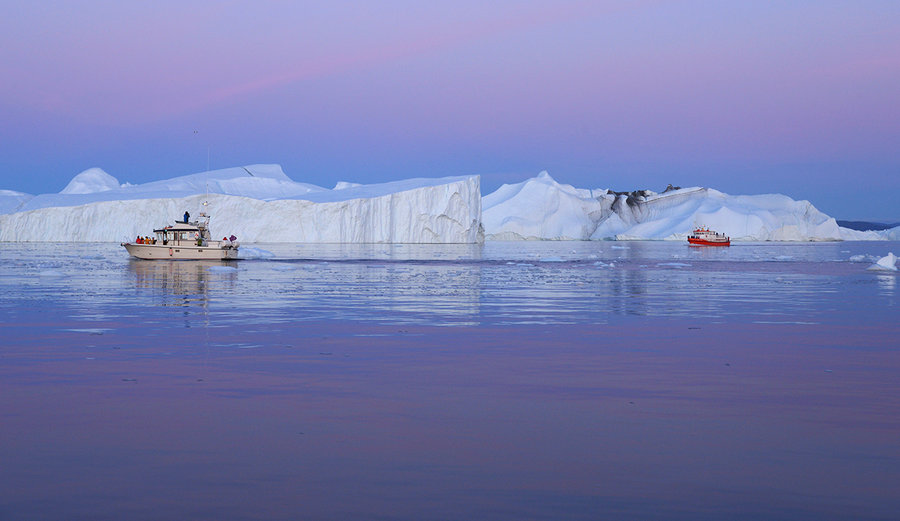 南极|极圈|北极熊_新浪新闻