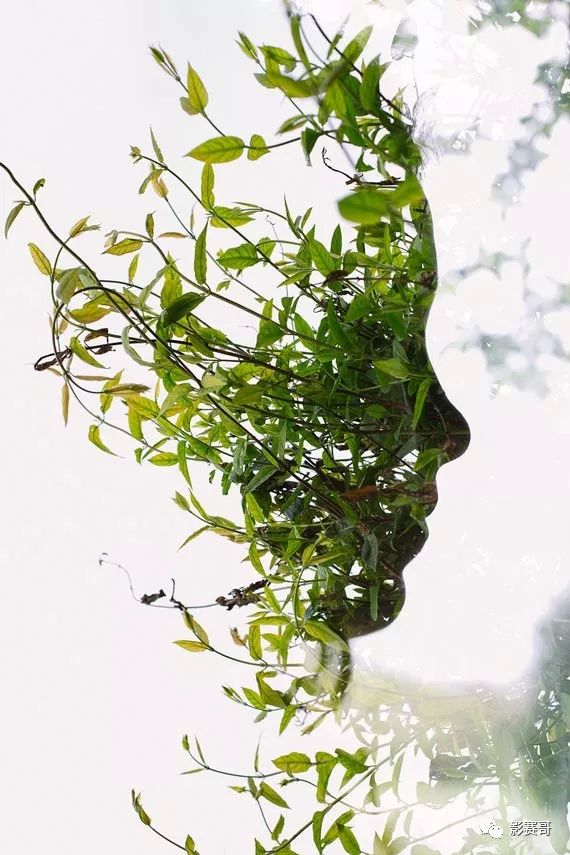 每天一张有趣照片:多次曝光