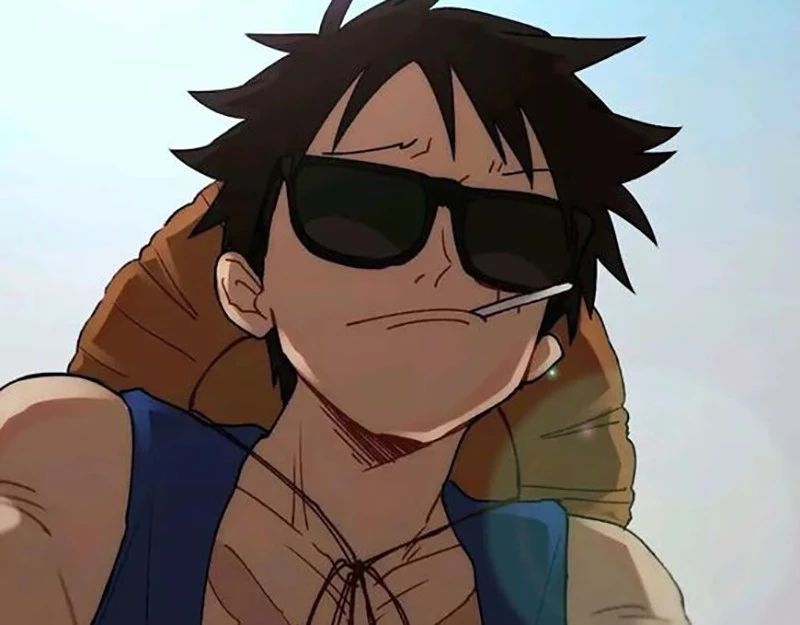 海贼王当草帽一伙戴上墨镜后娜美很调皮索隆相当帅气