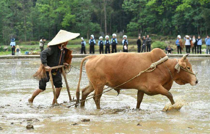 深耕之后对种植真的有帮助吗