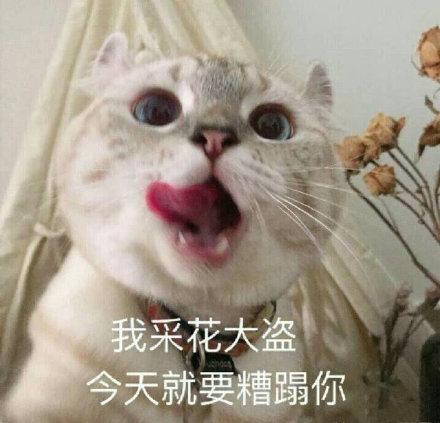 搞笑图片:适合调戏男朋友的表情包14张|狗东西|我爱你|亲亲我_新浪