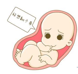 婴儿|怀孕|母亲_新浪新闻