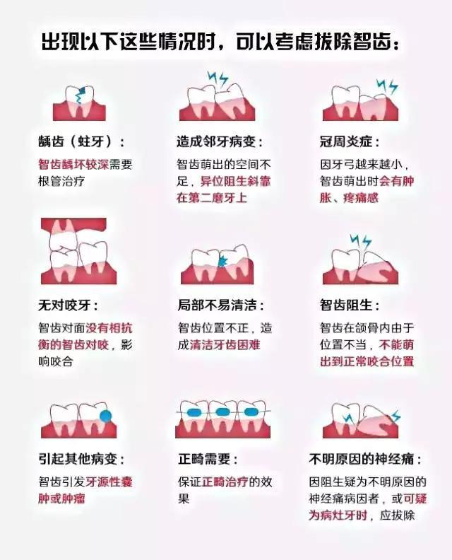 拔智齿会变笨?拔智齿能瘦脸?智齿:你们烦不烦!