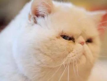 【搞笑段子】少管闲事,有助于健康!