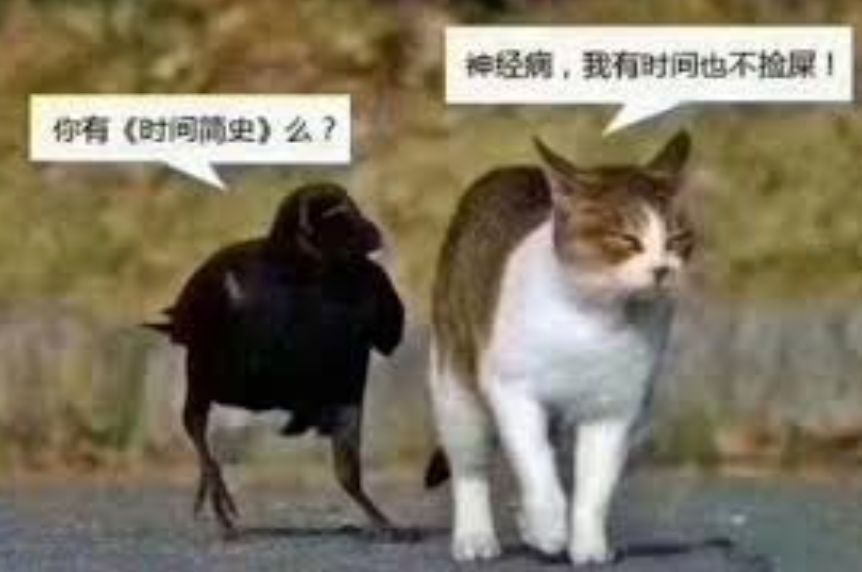 答:"我有时间也不捡屎".