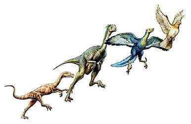 恐龙真的都灭绝了吗不不不它们进化的随处可见