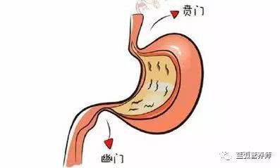 宝宝胃的这六大特征,决定了你必须小心喂养!宝妈们注意了
