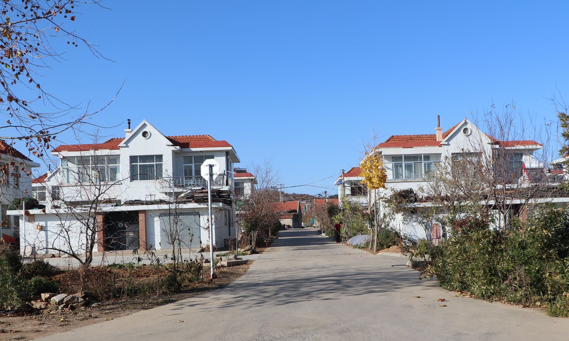 组图:威海荣成农村的实景,楼房,瓦房,草房一应俱全