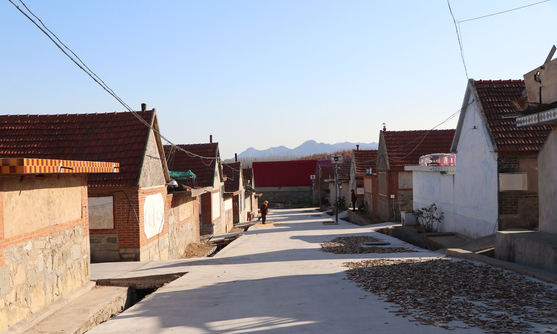 组图:威海荣成农村的实景,楼房,瓦房,草房一应俱全