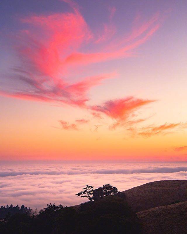 充满阳光的励志正能量句子,经典走心,越读越给力!