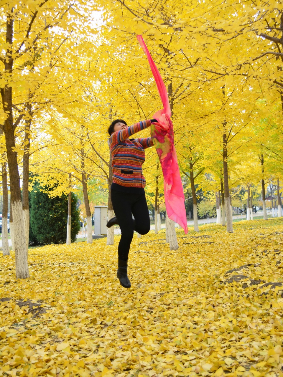 银杏树下,北京大妈天真顽皮像个孩子,这么美的景色你也把持不住