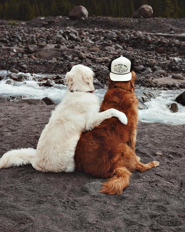 这背影还是很销魂的哦.睡觉都要这么暧昧的抱着.