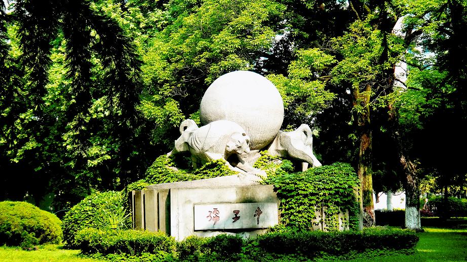 清华大学|中科大|清华_新浪新闻