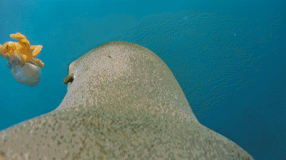 412_230gif 动态图 动图