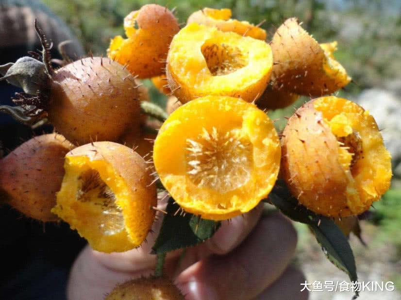 这种身上长刺却被称为“梨”的野果, 掰开才能吃, 维C比橘子还高|刺梨|泡酒|之后|味道|伤口_新浪新闻
