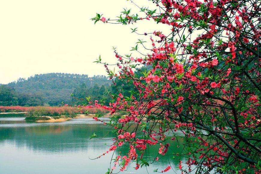 中国gdp没破千亿的城市_中国实力第一镇:GDP破千亿堪比四线城市,工业产值高达3600亿(2)