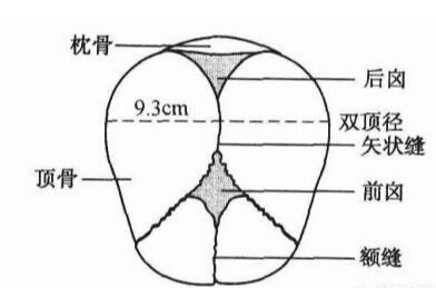产道67双顶径太大会不会很难顺产