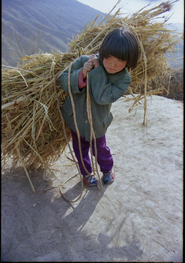 农村娃和城里孩子的区别