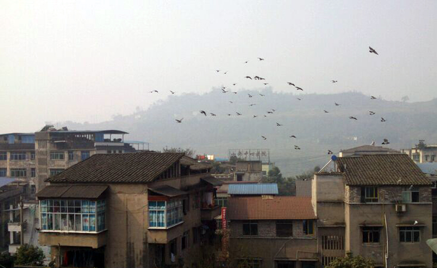 你有关于合川区小沔镇的故事吗?欢迎评论分享,文中数据仅供参考.