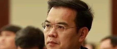 不到5个月 计算机“理工男”再升职公安部副部长|林锐|公安部副部长|厦门市_新浪新闻