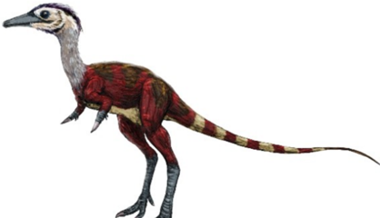 远古最小的恐龙排名美颌龙仅排第五最后一种体长只有39厘米