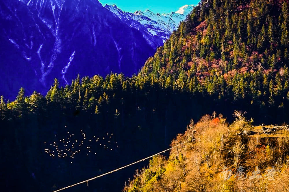 梅里雪山下的徒步天堂雨崩村被大火烧毁前长什么样