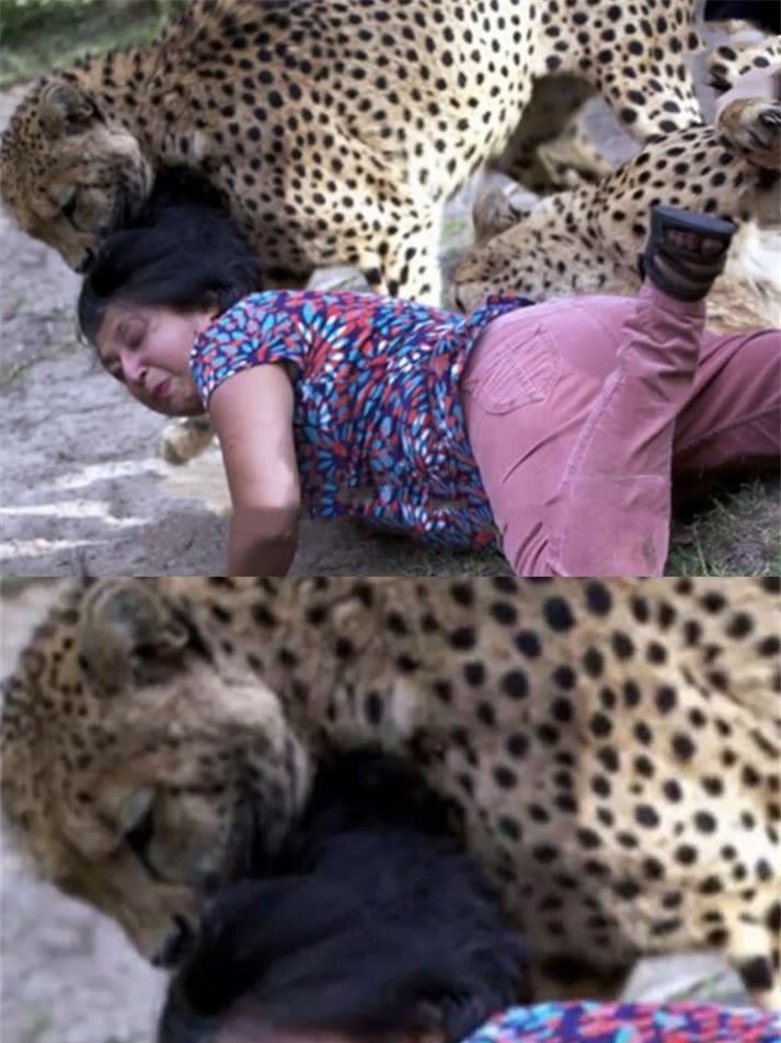 女子和豹子一起合影,刚摸了豹子的头,结果发生了让人想不到的事