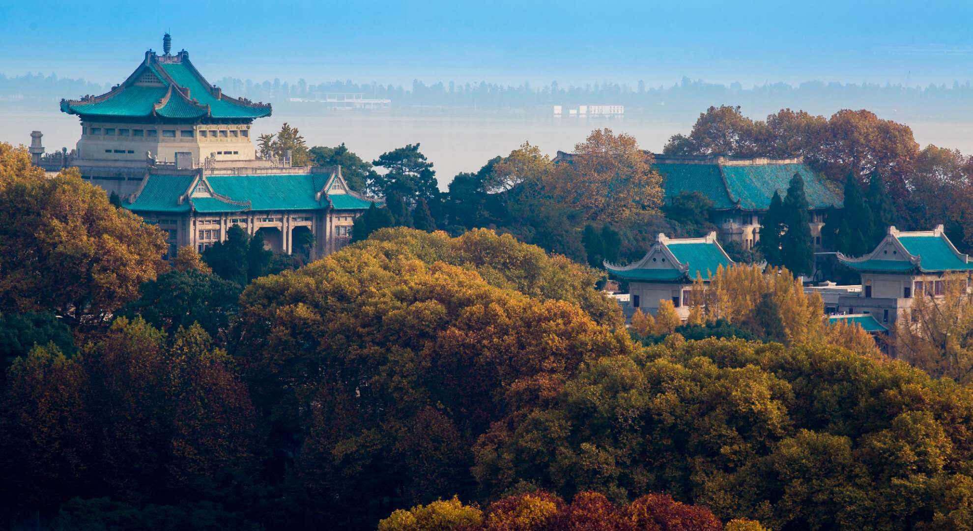 中国四大环境最美大学,网友:做梦都想去|云南大学|武汉大学|厦门大学