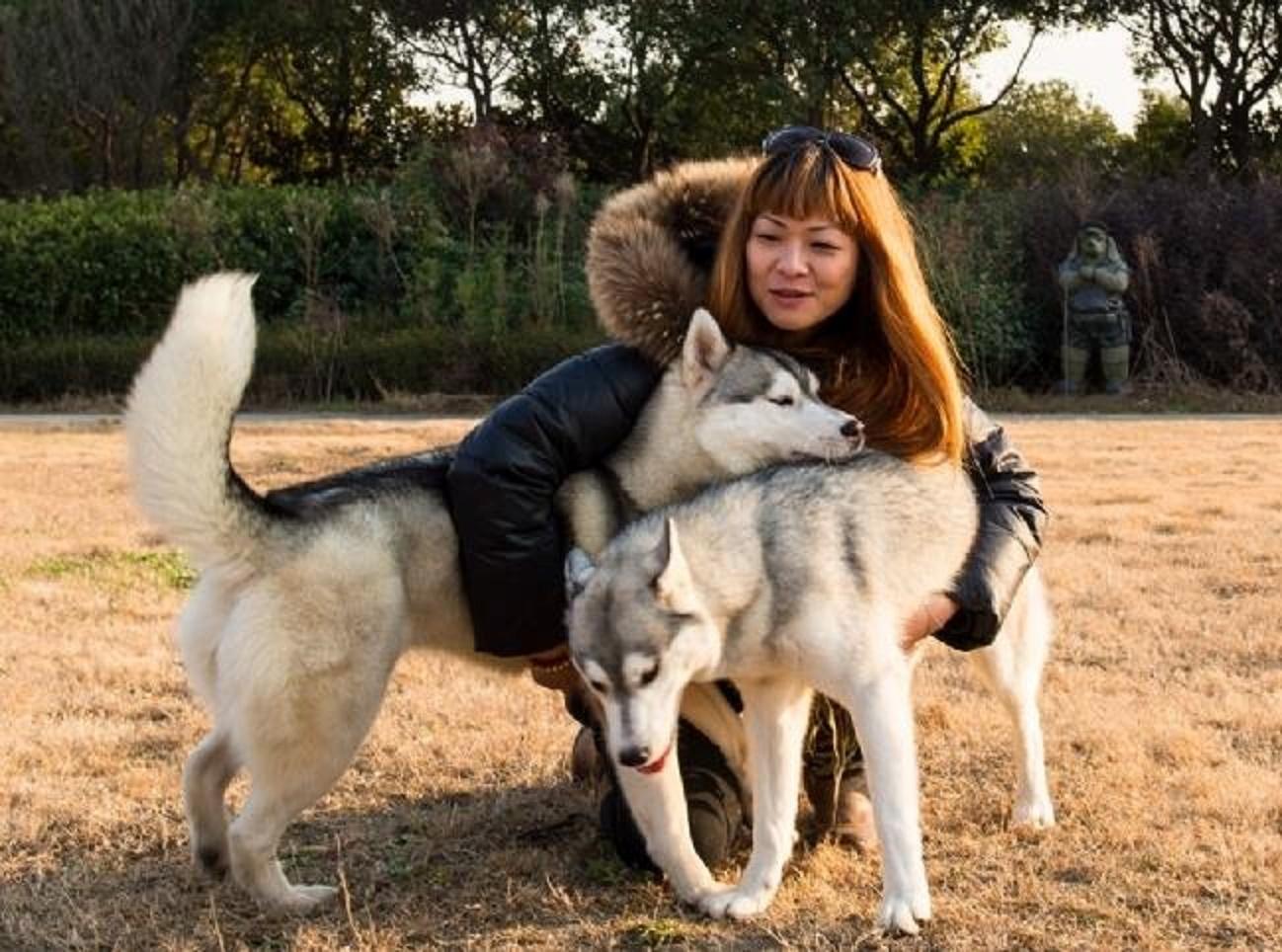 俗语: 树怕三摇, 女怕三撩;鸡怕撵, 狗怕舔, 具体是什么意思?|俗语|树