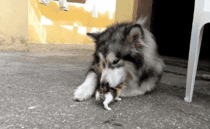 搞笑图片幽默段子笑话哥们你家的浴缸很先进啊还能当车用