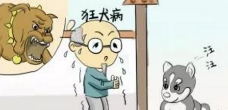 怕狗的人在这几种情况下,遇到狗怎么办?