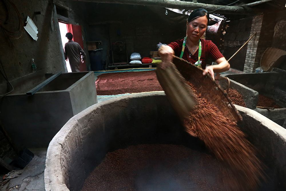 家庭自酿白酒设备酿酒注意事项讲解—酿酒师胡星杰