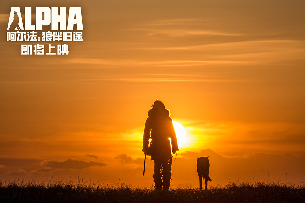 "这是今日全国公映电影《阿尔法:狼伴归途》中国区推广曲《探险家》中