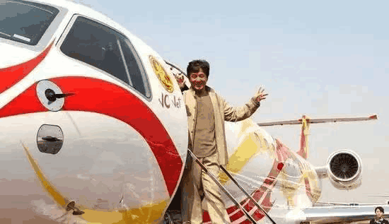 刘涛花三个亿买飞机|刘涛|刘德华|私人飞机_新浪新闻