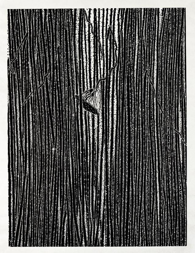 为什么机构进去版画市场哪些版画收藏才钱途无量