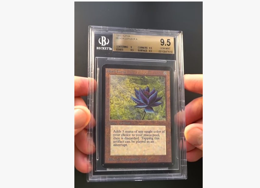 31张宝可梦卡片价值50万这张最有价值的游戏卡牌再多钱也不卖