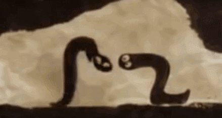 从两条蚯蚓身上看人生世界的另一端
