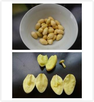 泡好的红枣和白果仁加水,冰糖烧开后再煮几分钟就可以了.