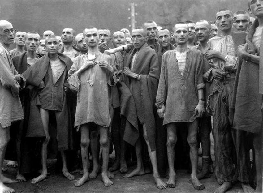 奥斯维辛集中营割肉图片