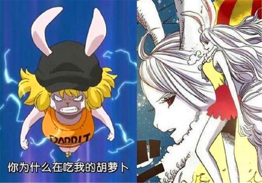 海贼王中最强的五只兔子,一只上了草帽海贼团,一只追着路飞打